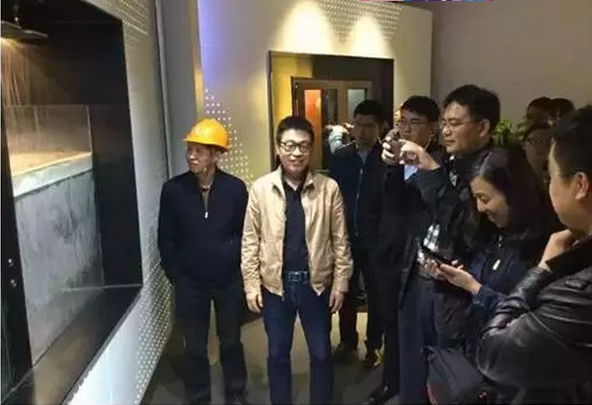 武漢中央商務區中城悅城項目順利通過住建部綠色三星建筑專項檢查
