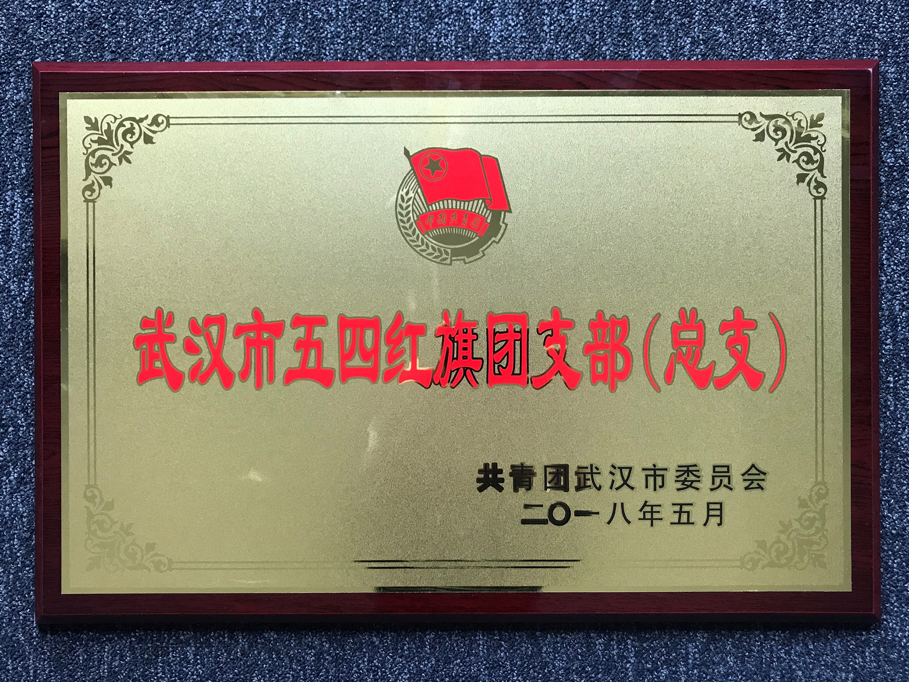 不忘初心跟黨走 青春建功新時(shí)代——中城團(tuán)總支榮獲“武漢市五四紅旗團(tuán)支部(總支)”光榮稱號(hào)