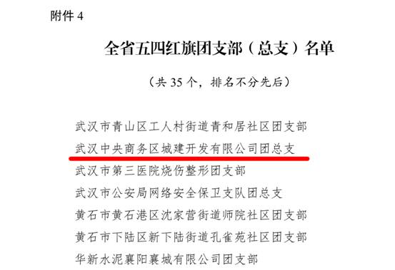 商務區集團所屬中城團總支榮獲 “全省五四紅旗團支部(總支)”榮譽稱號